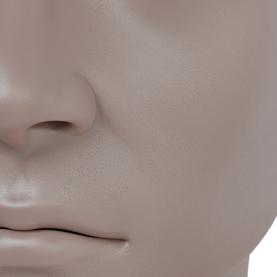 Dermal Pore Structure & Translucency render 1